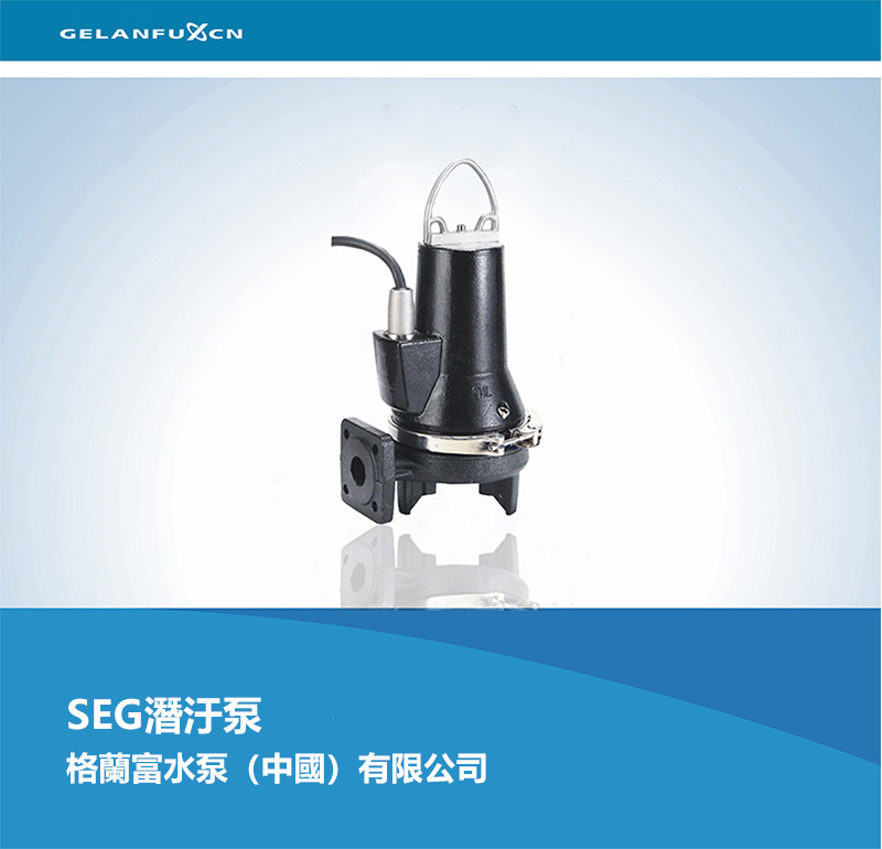 SEG�K�@��